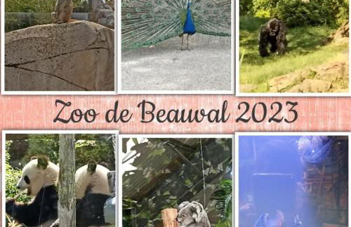 Maison de village en bord de rivière - Foto 40