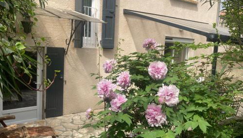 Maison DELMAS, l'Oustal du Recantu - Foto 1