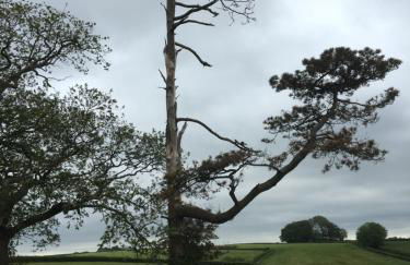 Stargazing Retreat - Foto 36