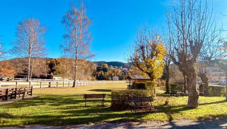 Appartamento a Costa di Folgaria - Foto 5, Garden