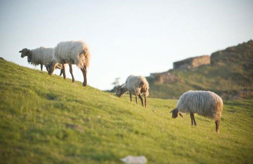 Aptos La Corona-Cabrales-Picos de Europa - Foto 24