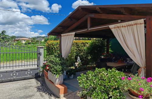 Verdeacquassisi - Photo 24