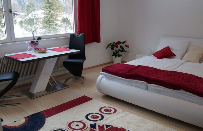 W & S Executive Apartments - Obertraun - Foto 17