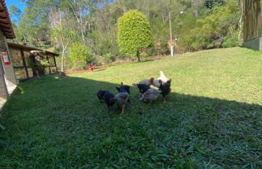 Hotel Fazenda Bonanza - Foto 64