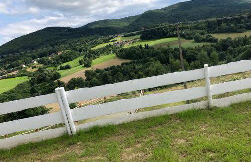 Koperkowy Raj Beskid Wyspowy Domek Małopolska Jacuzzi Playroom - Foto 66