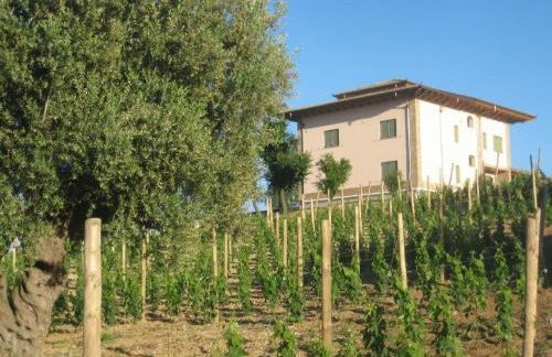 L'Orso e L'Ape B&B - Foto 48