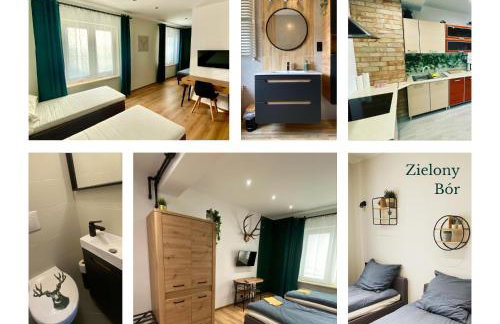 Gospodarstwo Agroturystyczne Zasadkowe Bory - Foto 39