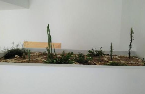 Quinta Vale de Carvalho - Foto 36