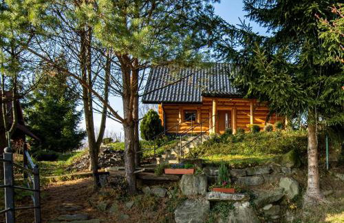 Domek Nad Stawem II - Foto 1