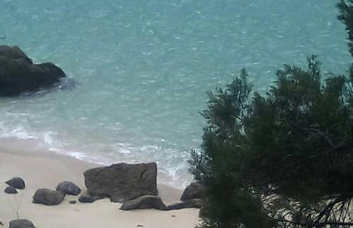 Páteo da Memória Casa do Pintor - Foto 39