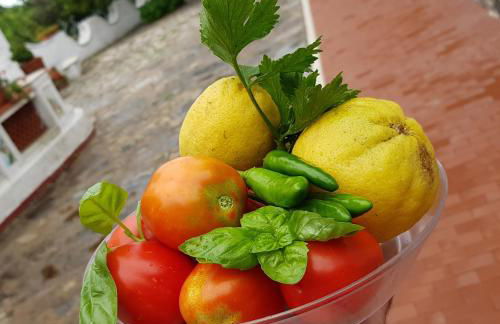 Villa Inn Costa - Foto 62