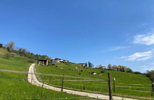 La Casetta in Costa - Foto 15