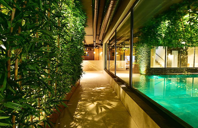 Jasmin Elite Residence & SPA - Photo 53