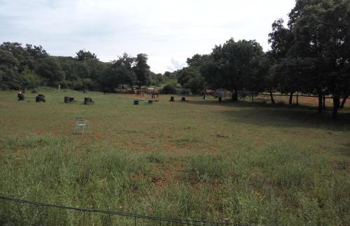 Apartment Asparagus - Photo 37