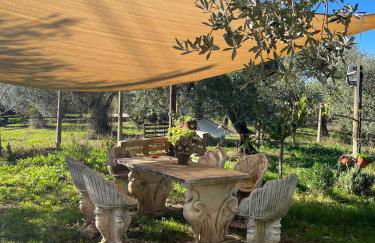 Colle Perazzoni - Foto 57