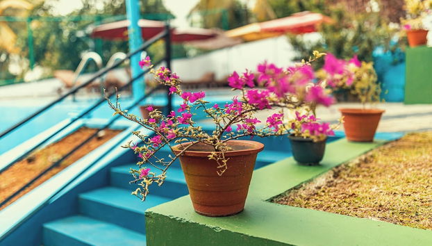 Villa Talpe 5 Bedrooms & Massage Pool - Foto 5, Habitación