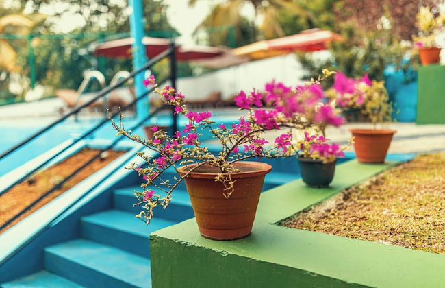 Villa Talpe Inviting 5 Bedrooms & Massage Pool - Photo 16