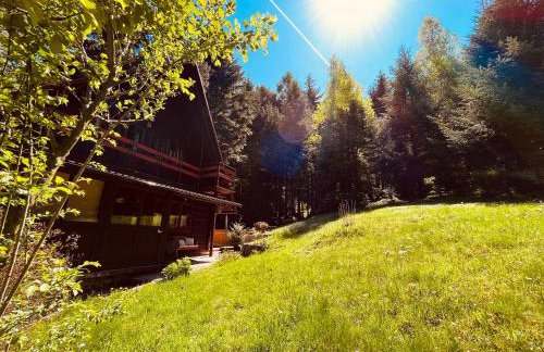 Chata pod lasem z balią i sauną - Foto 7