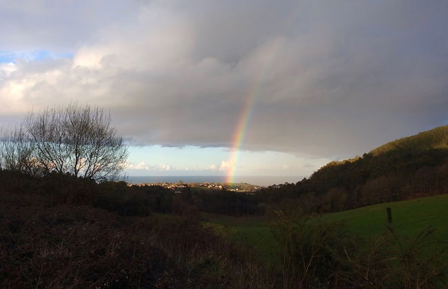 Apartamentos La Collada - Photo 54