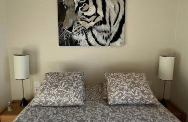 Magnifique appartement entièrement rénové - Foto 6