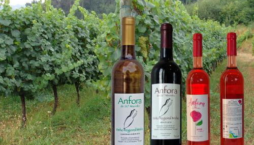 Quinta de Santa Marinha - Foto 4