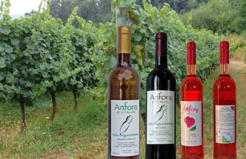 Quinta de Santa Marinha - Foto 4