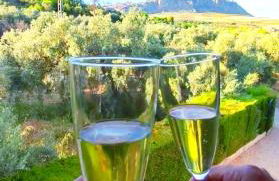 Casa Lo Pinto Private Pool Villa South of El Torcal -UNESCO- - Photo 50