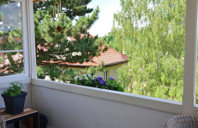 Apartment in Harz Near Ski Slopes - Foto 39