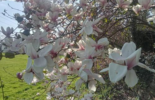 La Parenthèse gîte à la campagne - Foto 5