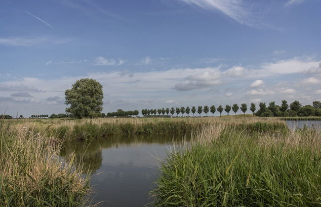 Modern Light Chalet 15km From Alkmaar - Photo 36