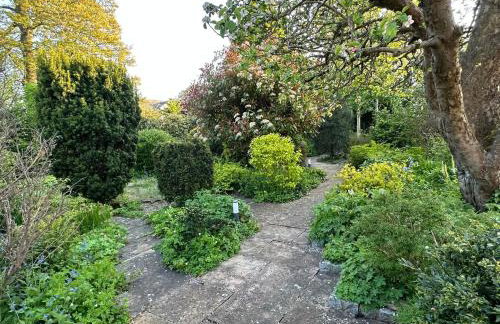 Apple-tree lodge - Foto 52