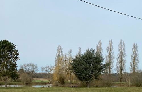 La maison poitevine - Foto 13