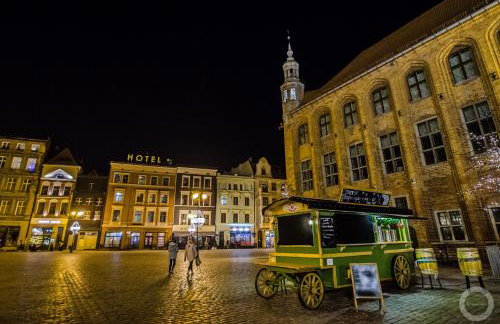 Apartament Gra - Gothic House - Photo 42