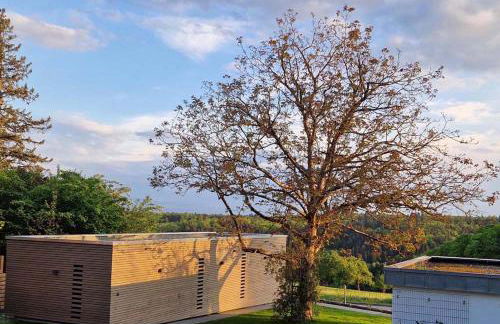 Tinyhaus Adam - Foto 7