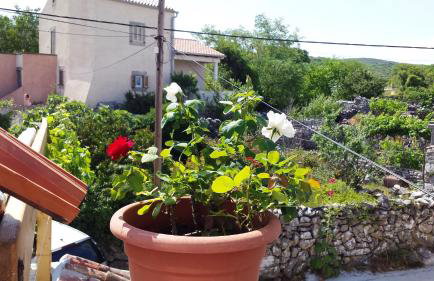 Apartments Princip - Photo 18