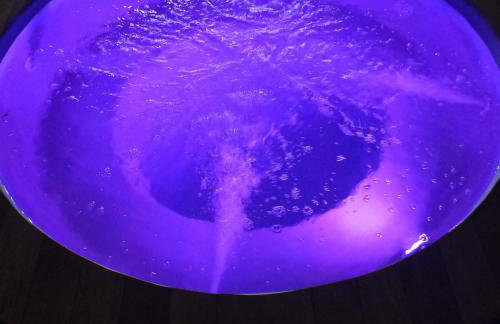 Chácara Cantinho dos Sonhos - Photo 10