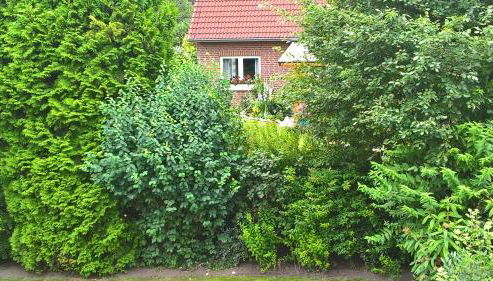 Ferienwohnung Fuchskuhle - Foto 5, Garden, Garden view