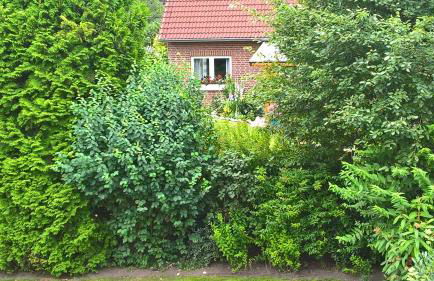 Ferienwohnung Fuchskuhle - Foto 5