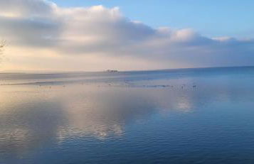 Villa am Steinhuder Meer App Suite-La Fleur-mit Pantry Küche, Luftreinigungssystem, Garten, WLAN - Foto 49