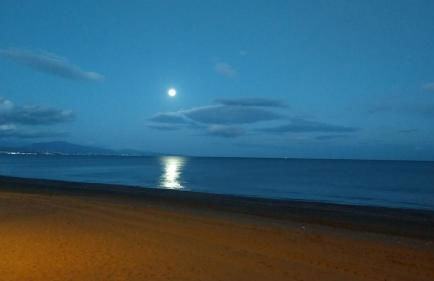 Duquesa 5210 Beach Side Paradise - Photo 44