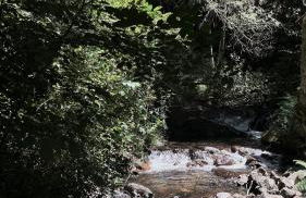 M Butterfly - Foto 53