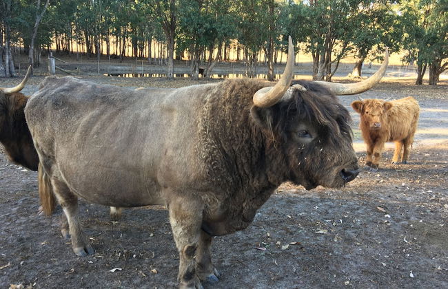 Jarrah Glen Cabins - Photo 21