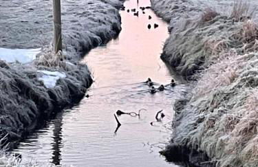 Gretes Hof - Foto 64