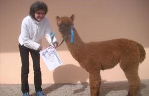 Ferienhaus Alpaka Glück - Foto 43