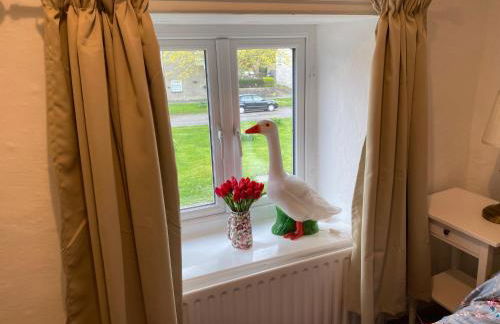 Primrose cottage - Photo 11