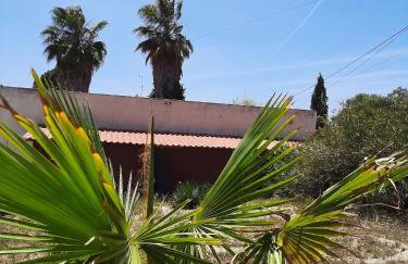 Comfortable Studio in Santiago do Cacém, private pool, 65 m² - Foto 27