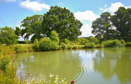 Oak Park One - Uk50062 - Foto 16