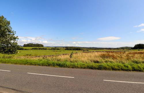 The Paddock - Foto 35