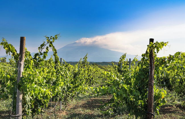 Neroli Bio Relais - Foto 47