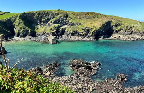 Oystercatcher, Pityme - Foto 14